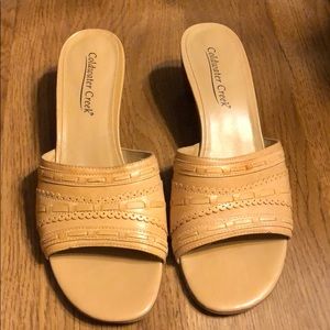 Coldwater Creek Slides